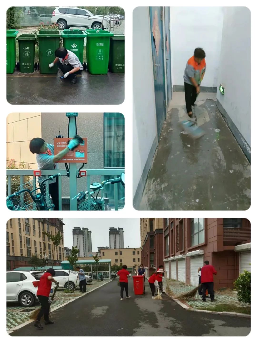  圖片迷路了 ^.^