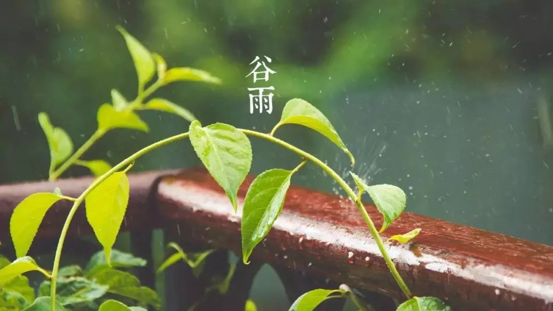 圖片迷路了 ^.^