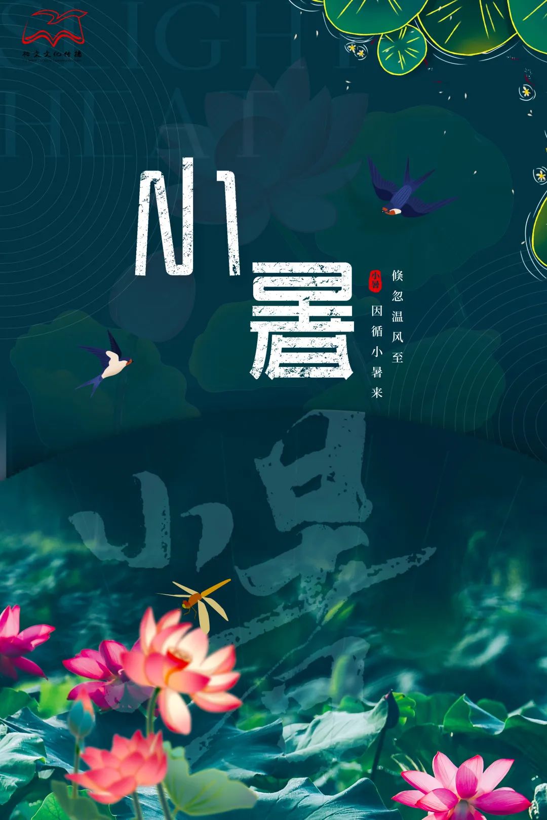 圖片迷路了 ^.^